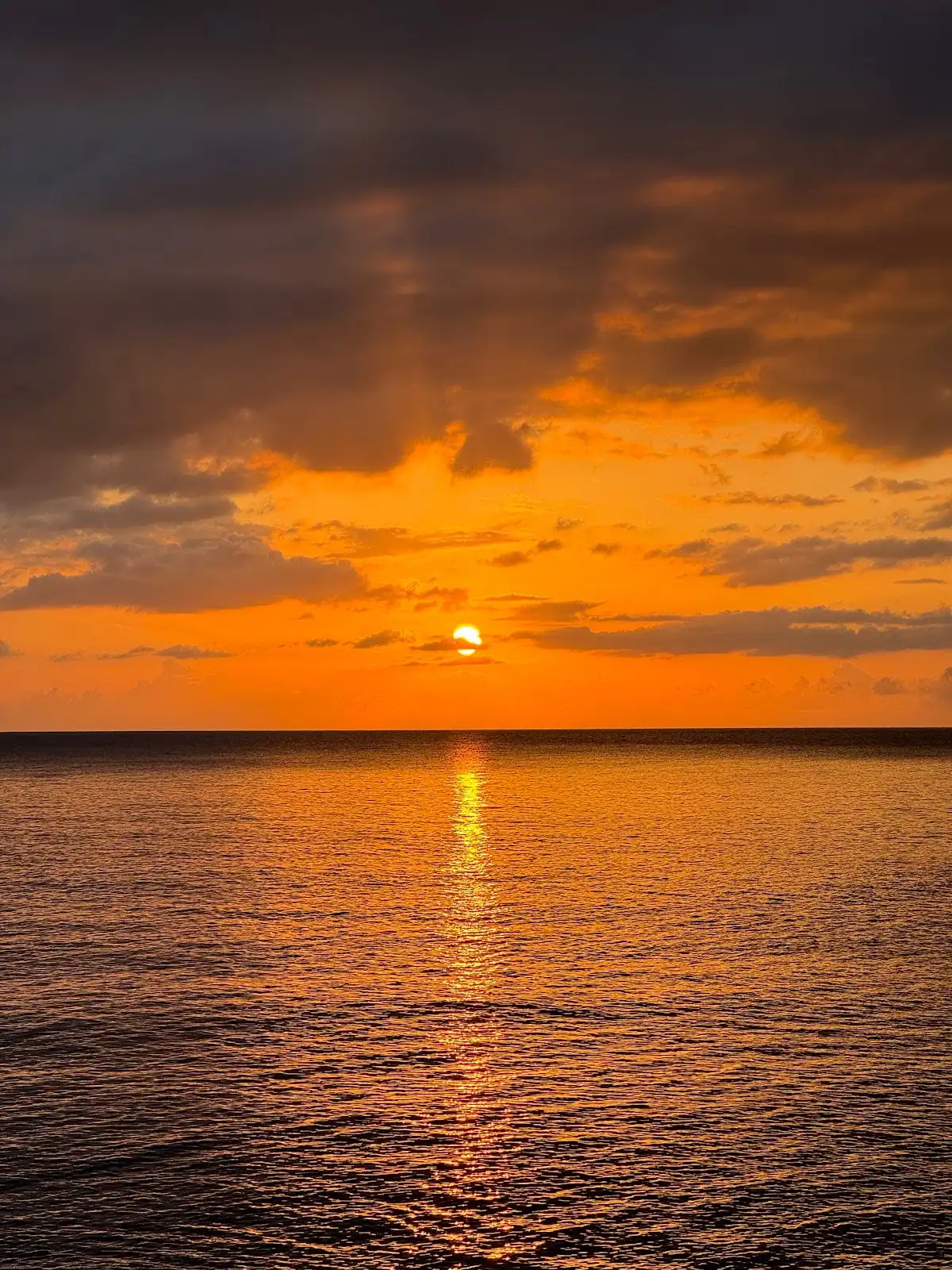 Sunset tour images on the sea in a boat in Mallorca